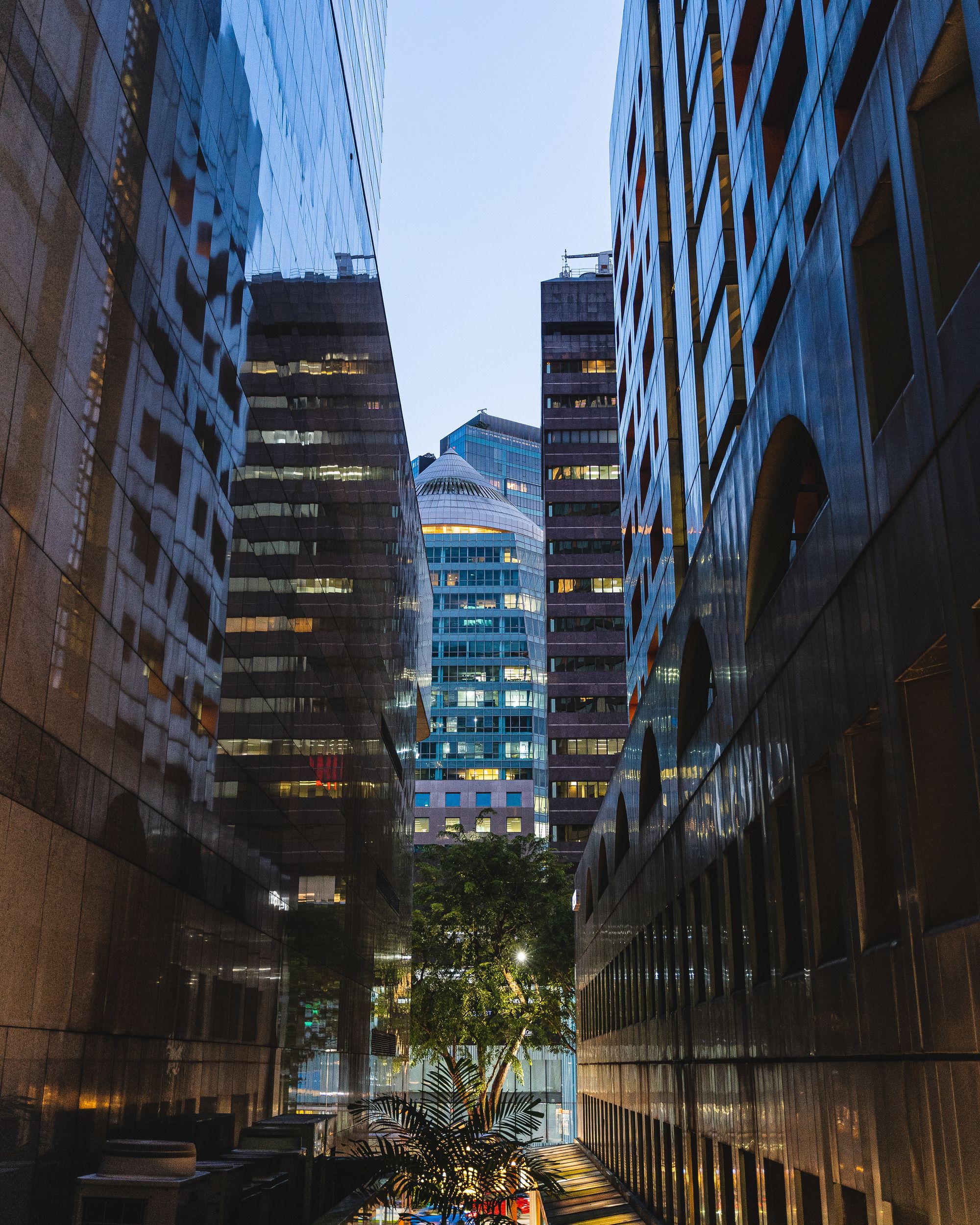 Portrait shot of skyscrapers