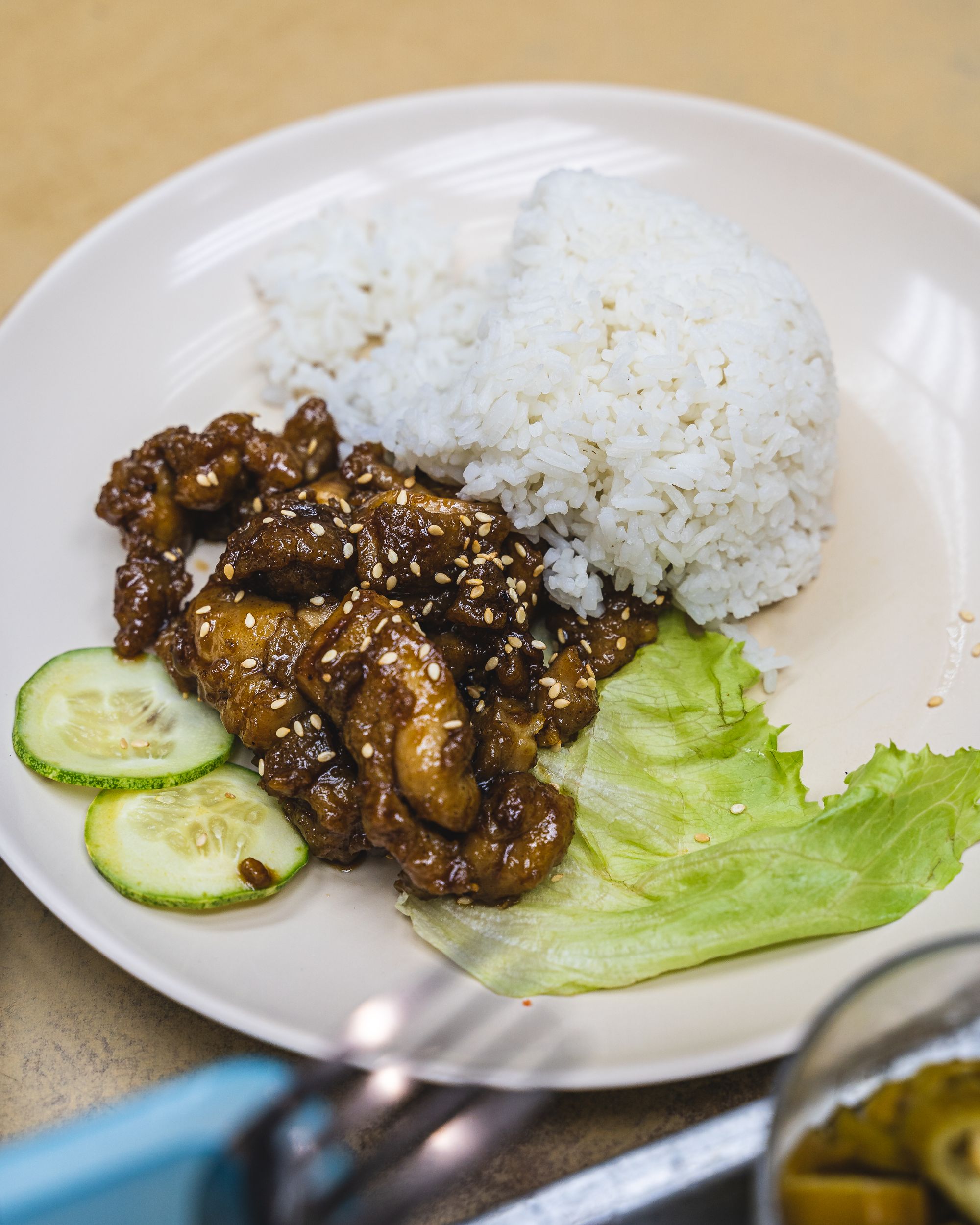 Close up of marmite chicken, rice, a leaf of lettuce and two cucumbers