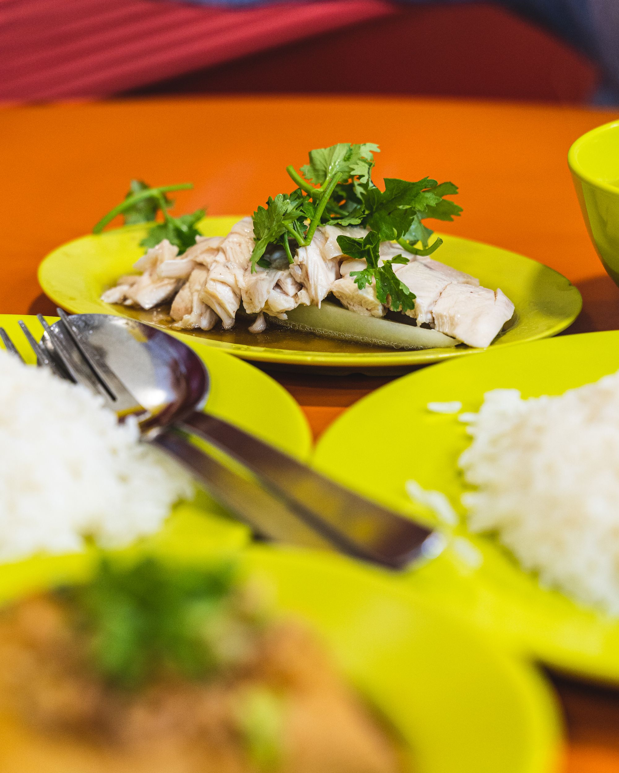 A close up shot of a plate of Hainanese chicken