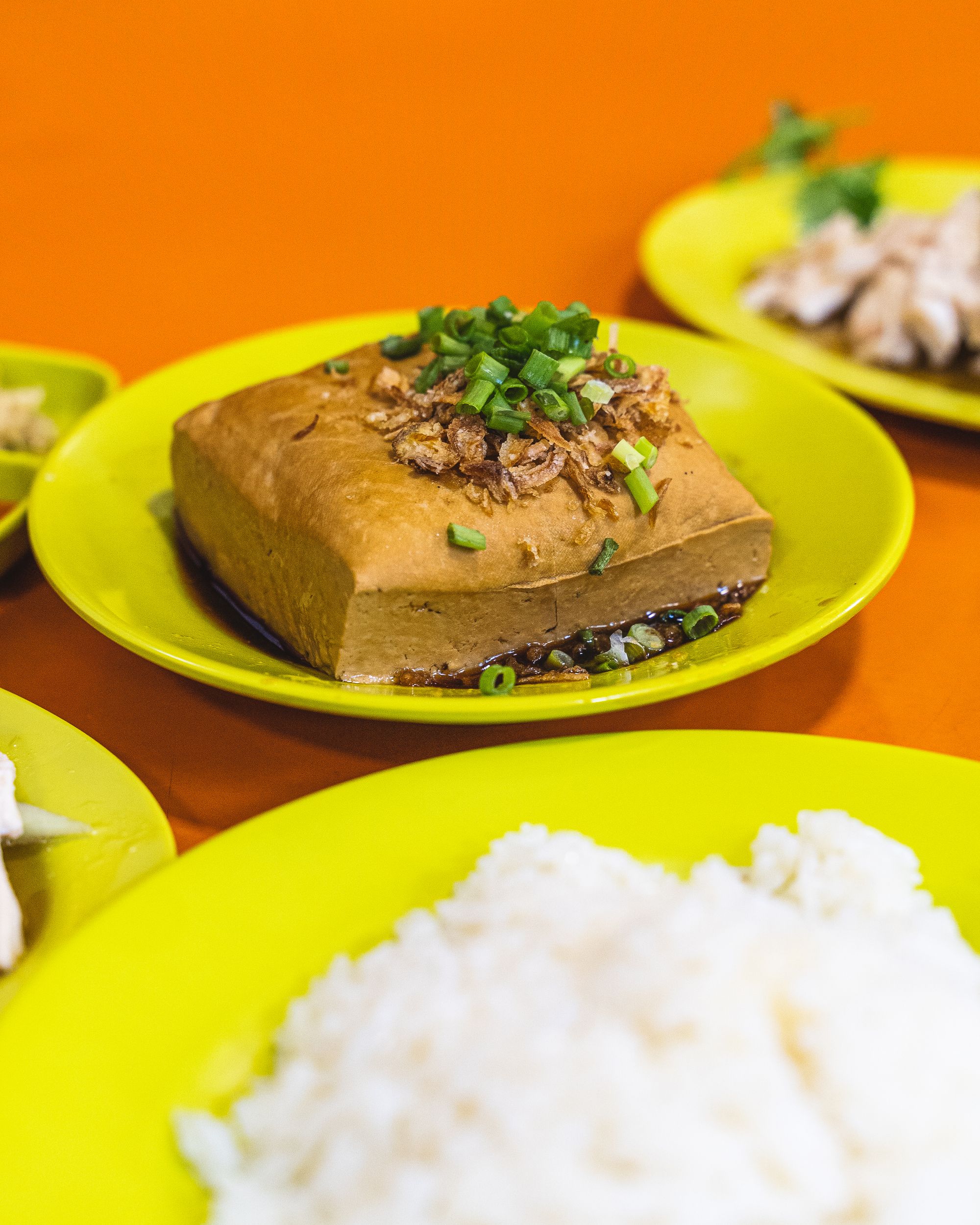 Close up of braised beancurd on a green plate