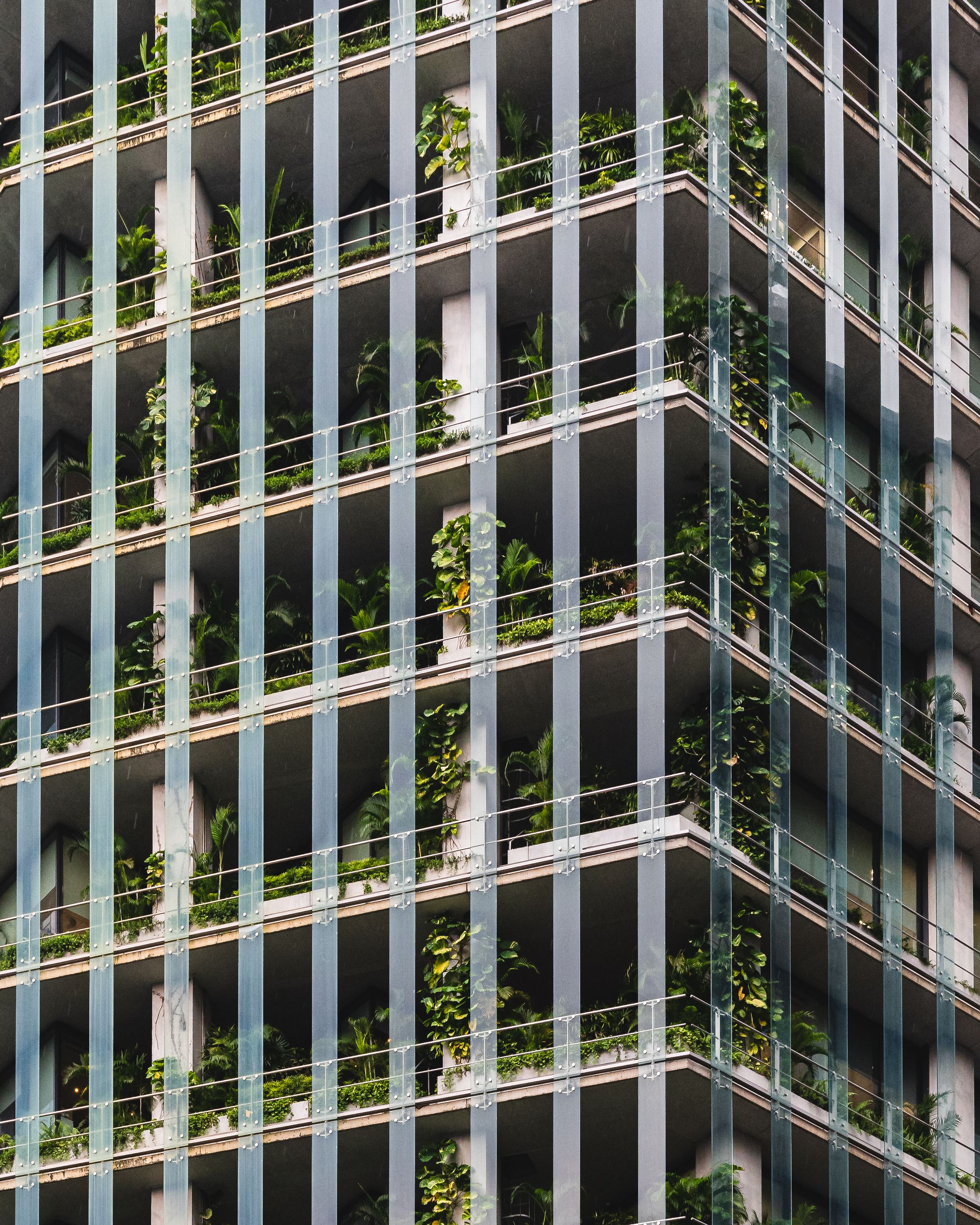 Close up photo of a building with lots of plants growing on it