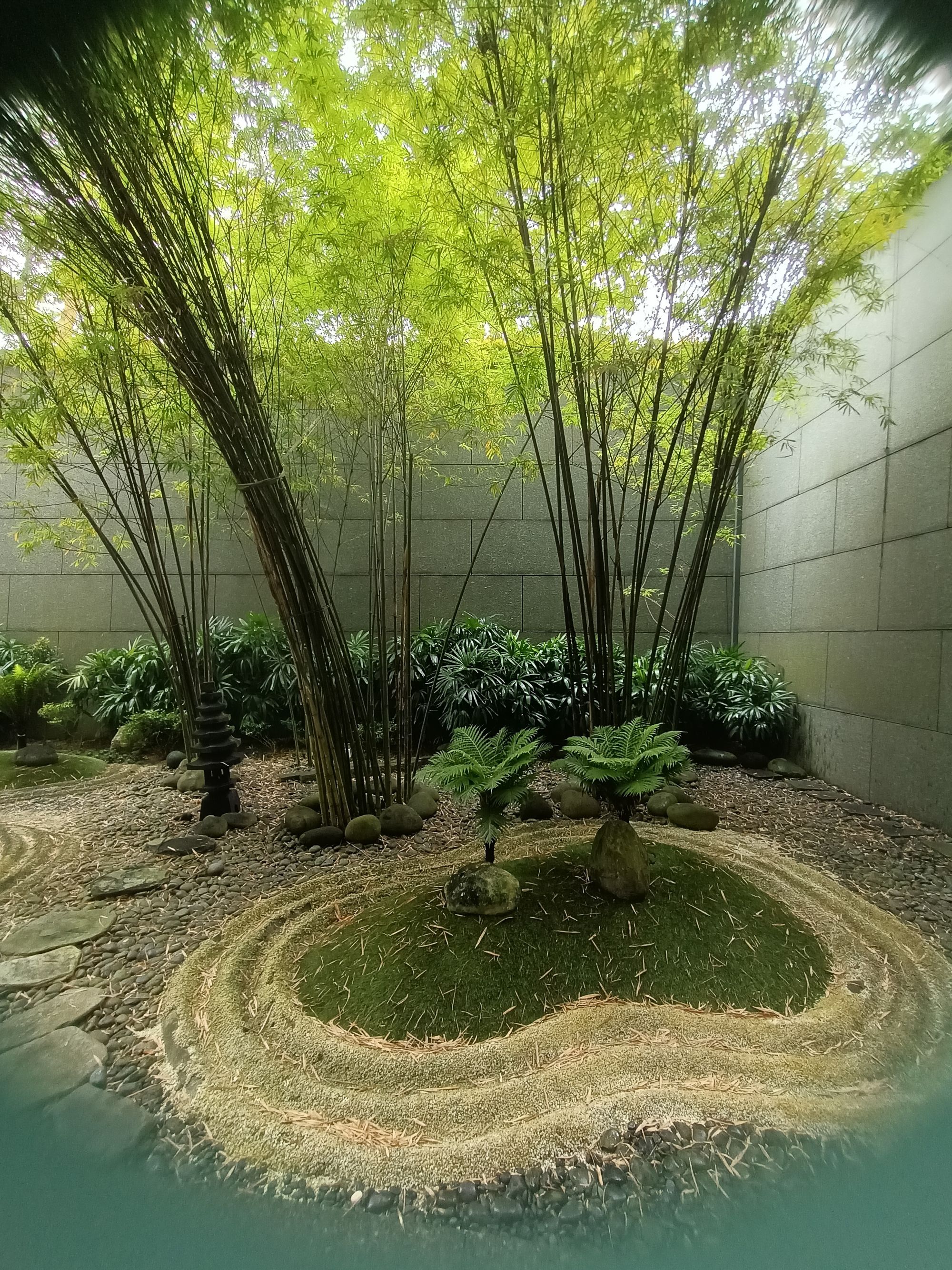 Wide shot of a Japanese zen garden