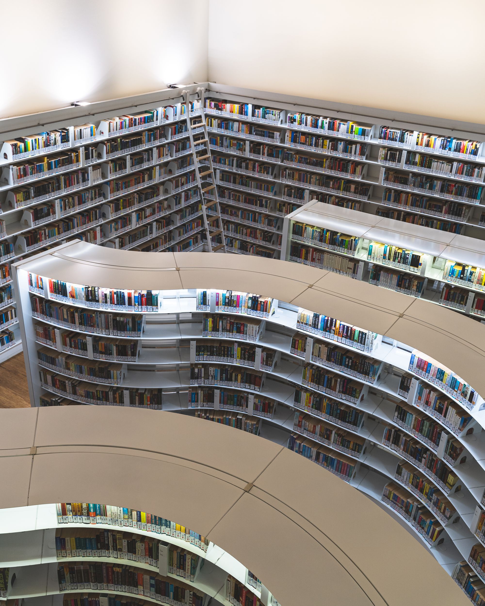 A number of curved bookshelves