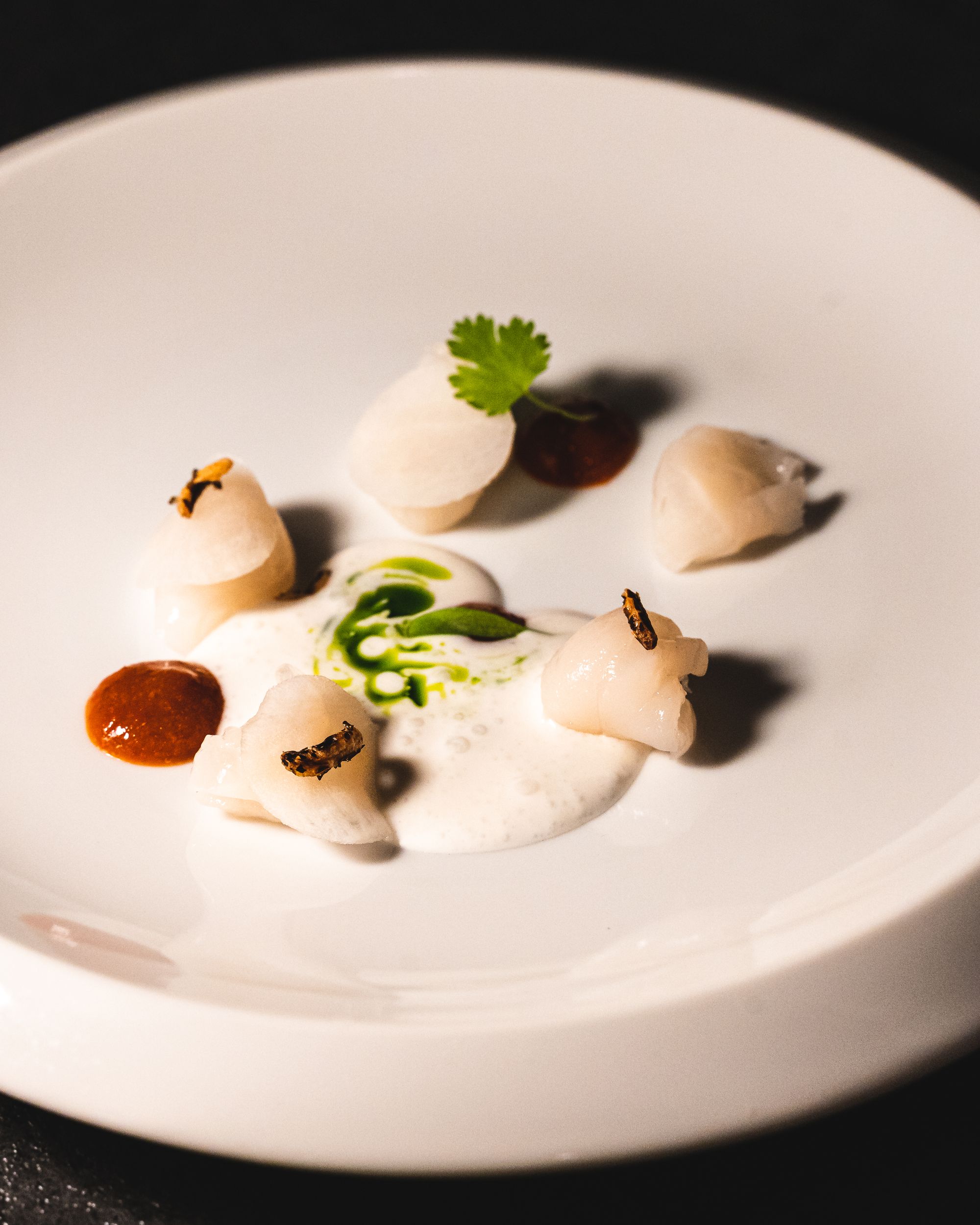 Pieces of cured scallop with a white sauce and a dot of chilli