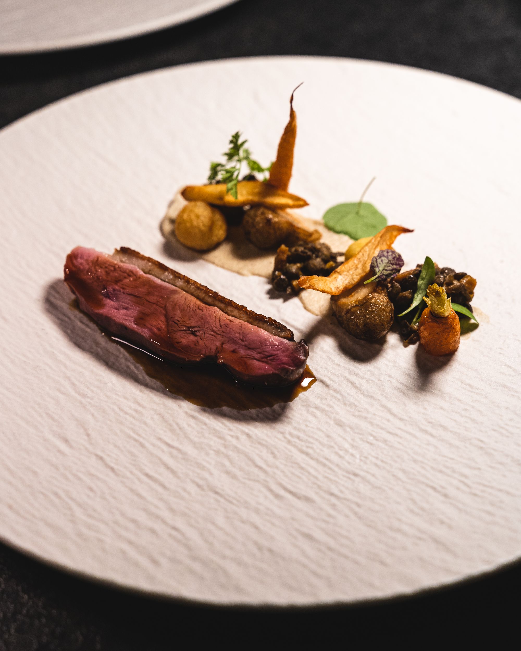 A slice of duck breast with seasonal vegetables 