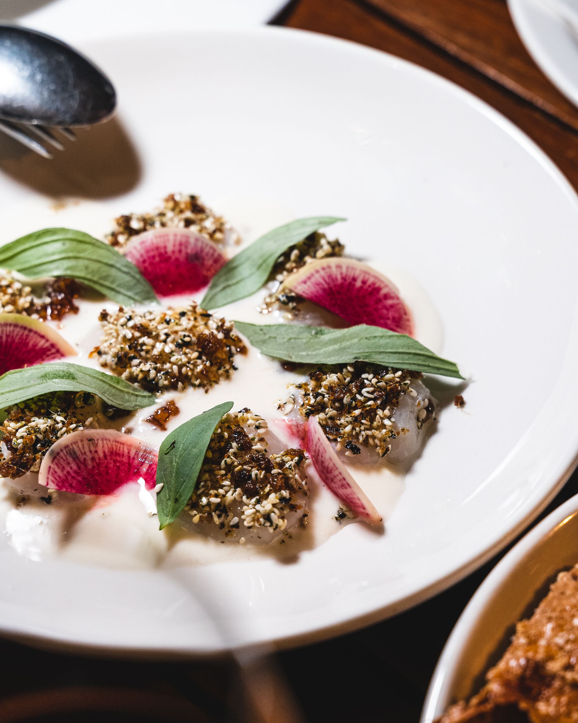 Close up of scallops with basil and ginger yoghurt