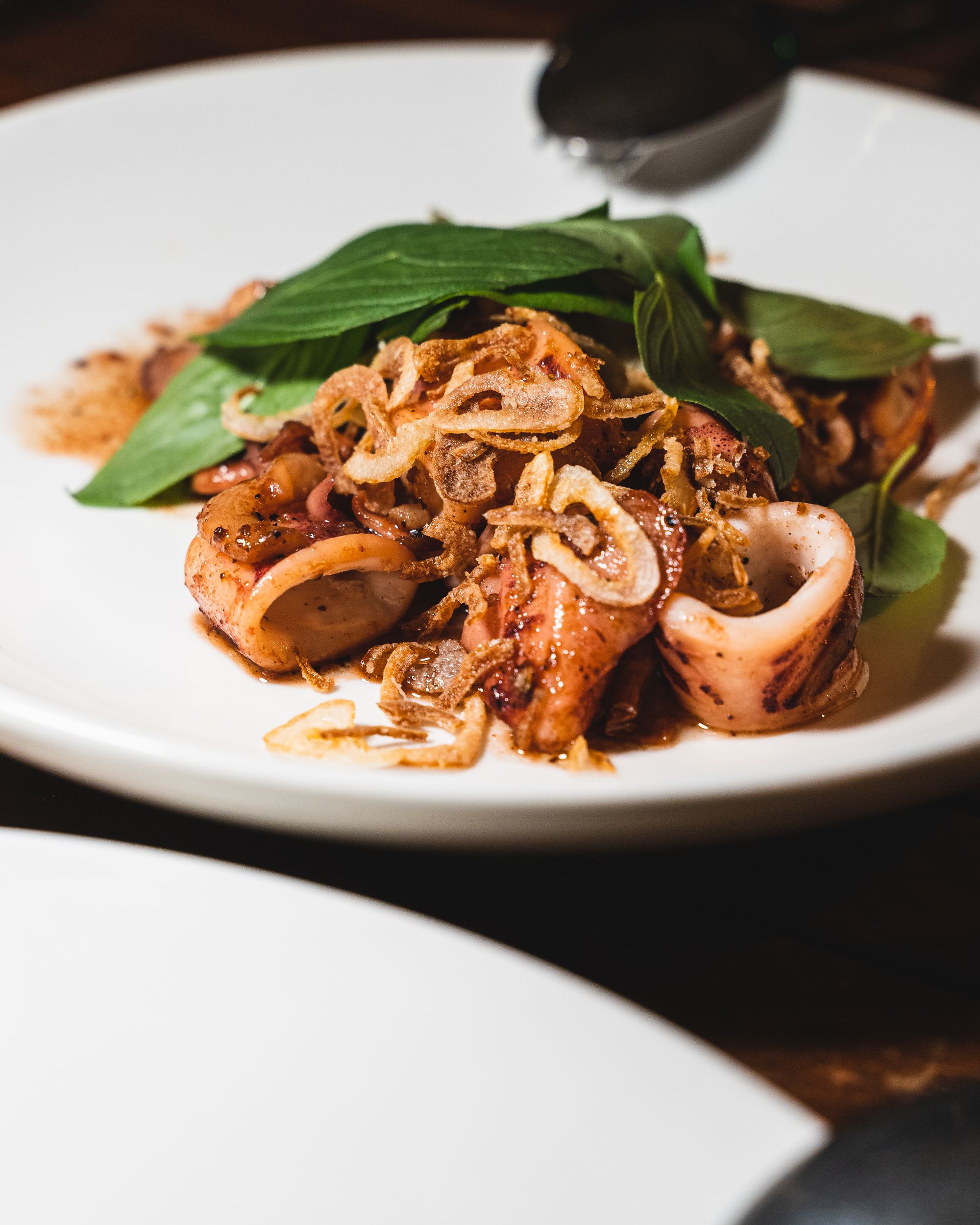 Close up of squid pieces with shallots and basil on top