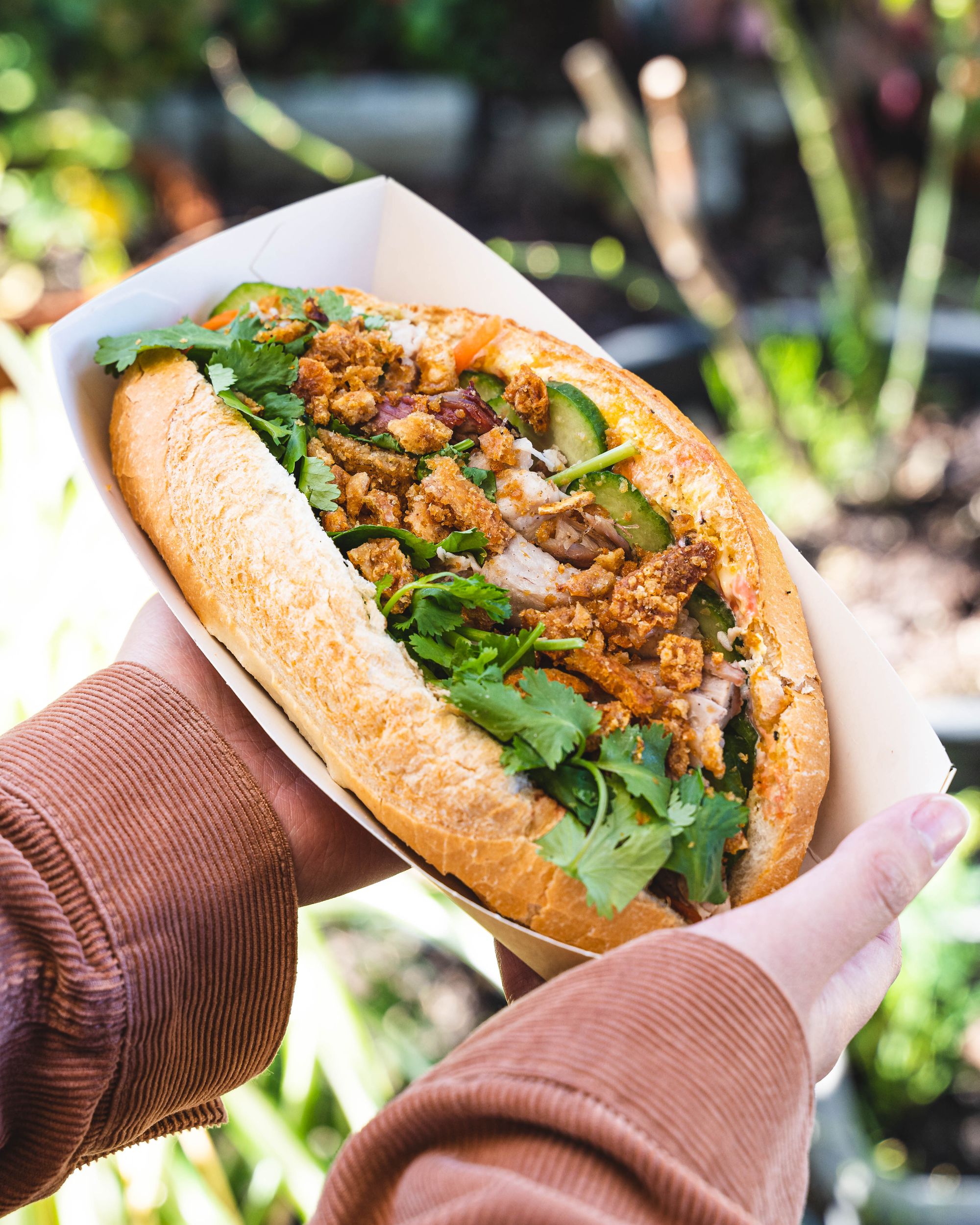 Hand holding banh mi with roasted pork
