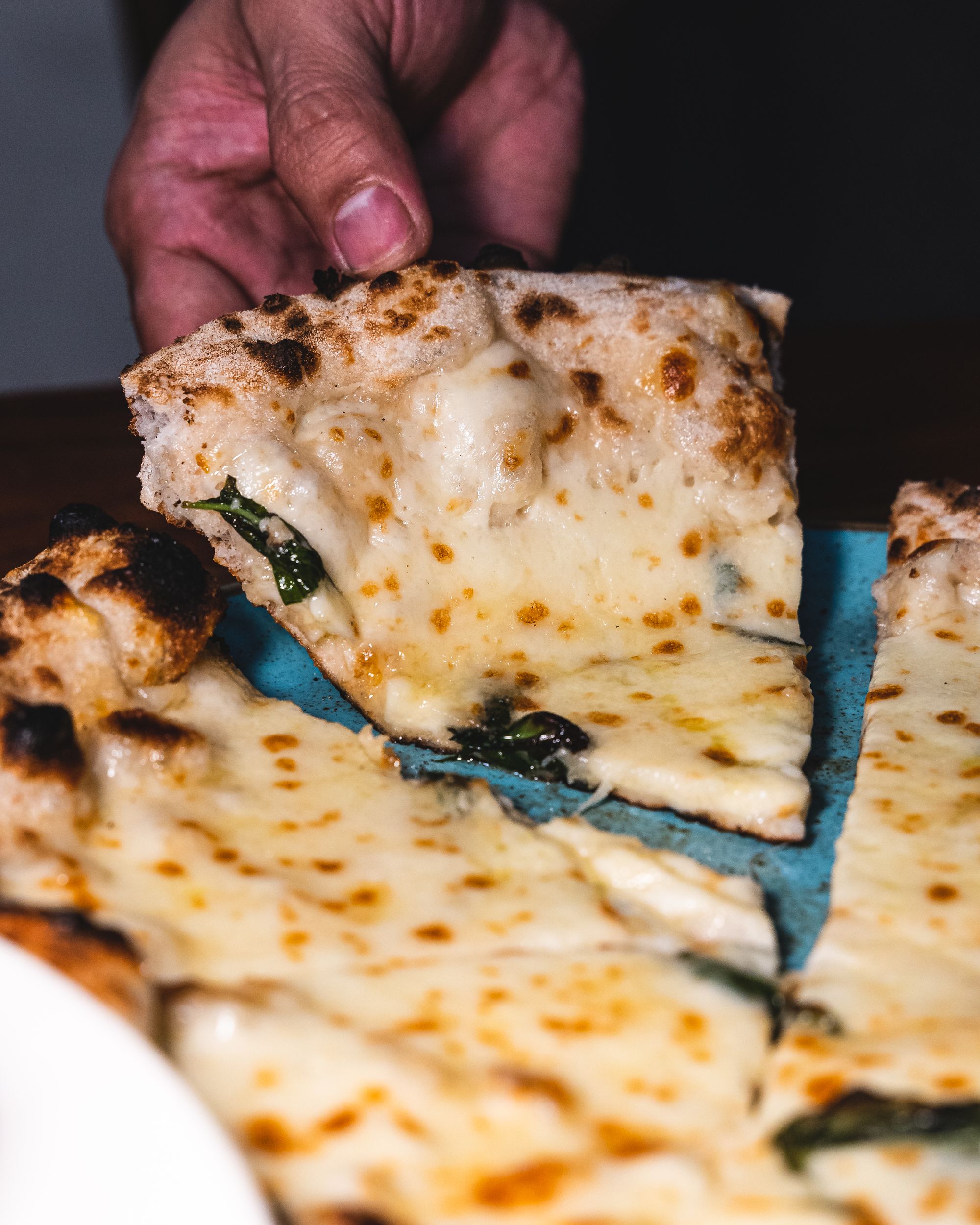 Hand holding a slice, of cheese pizza