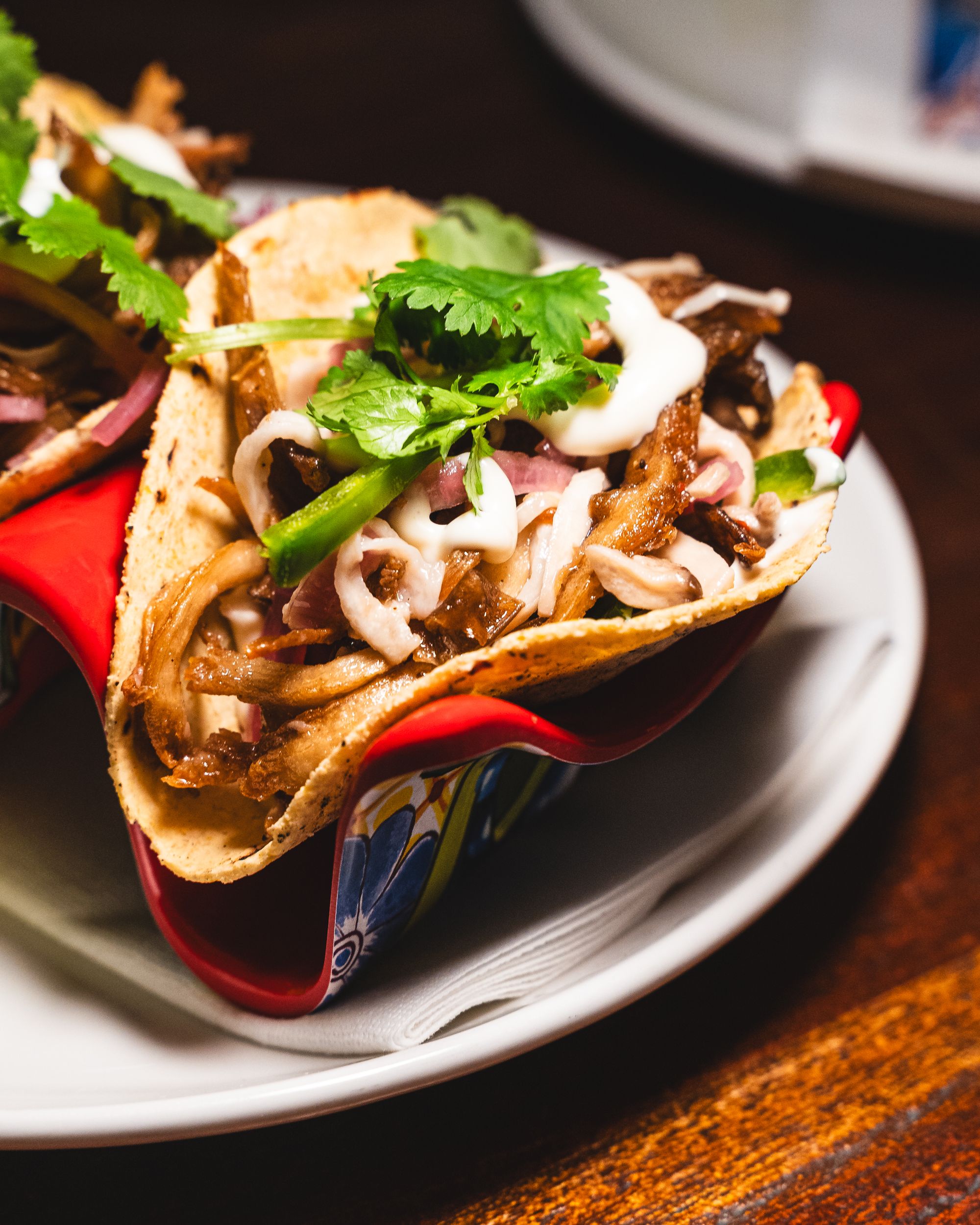 Close up of oyster mushroom taco