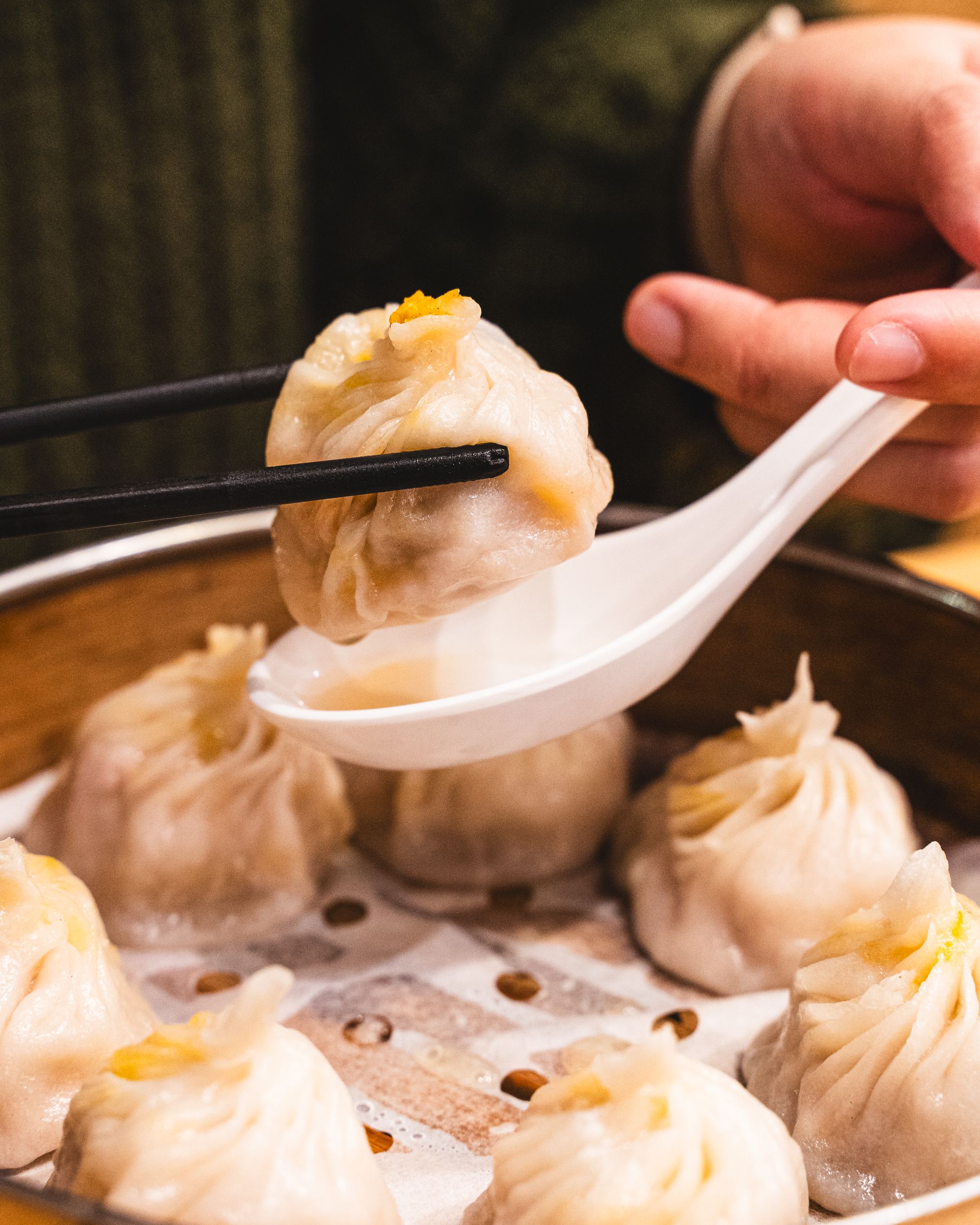 Chopsticks holding a xiao long bao over a soup spoon