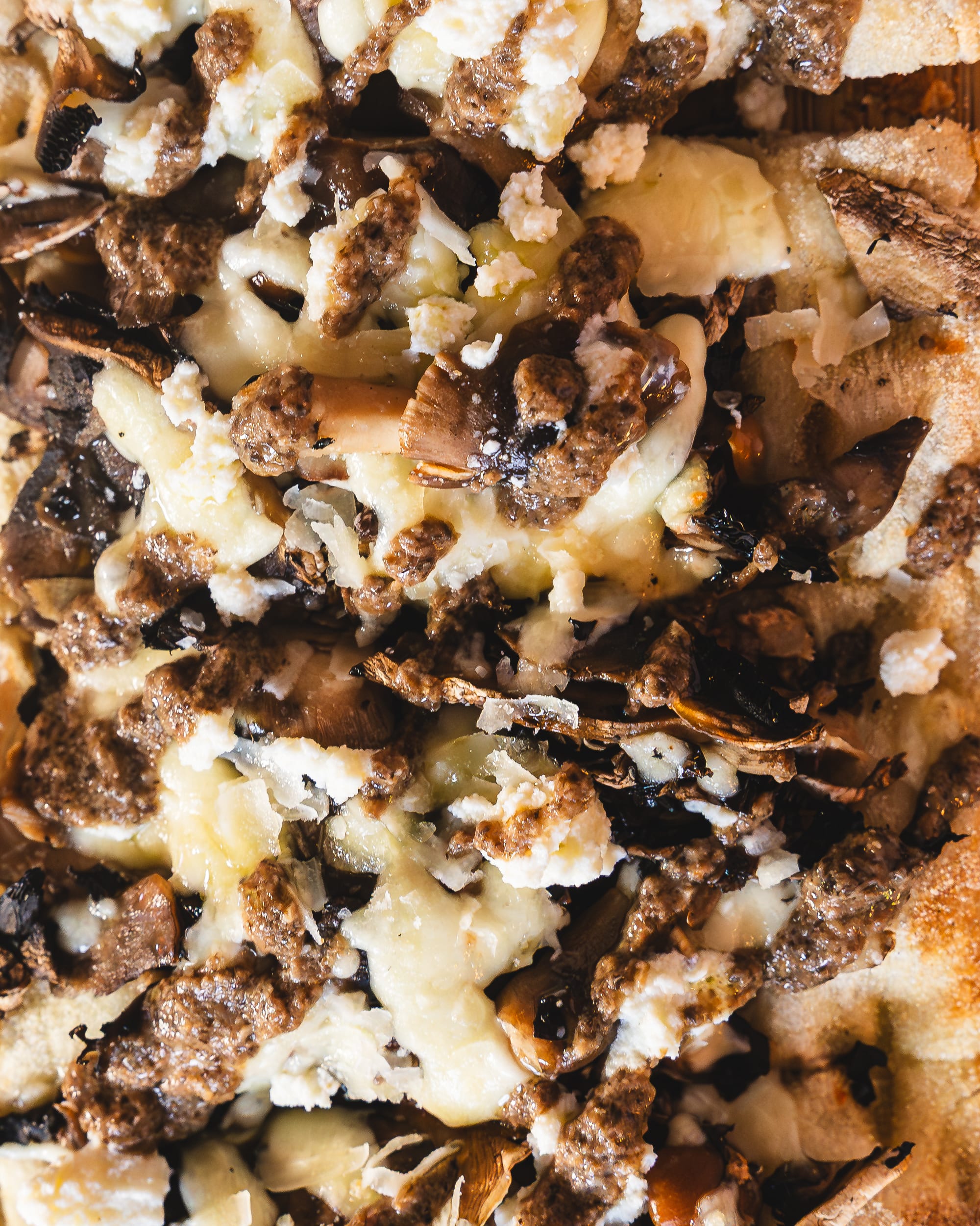 Close up shot of pizza with cheese and mixed mushrooms