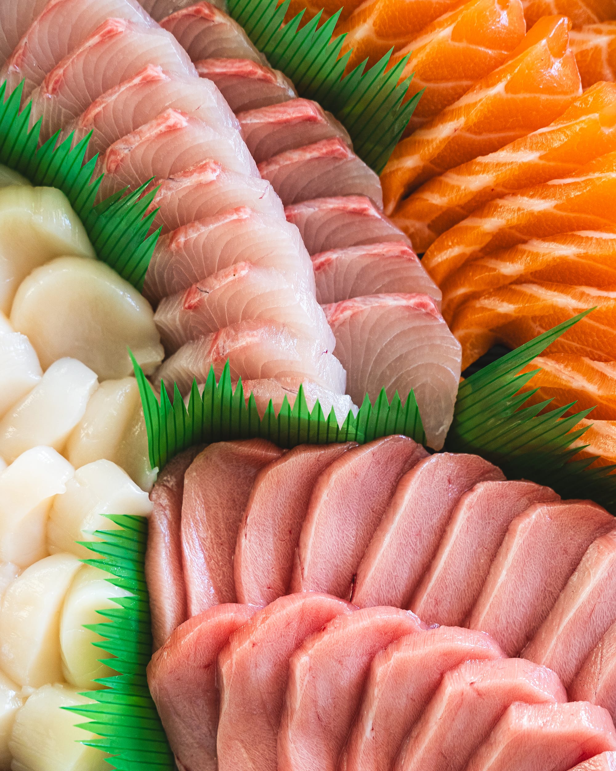 Close up of scallop, whitefish, salmon and tuna sashimi