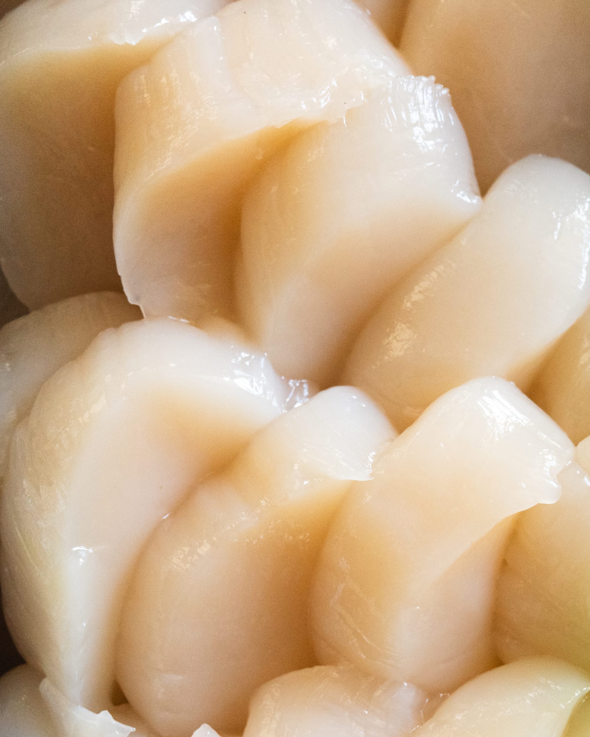 Close up of scallop sashimi