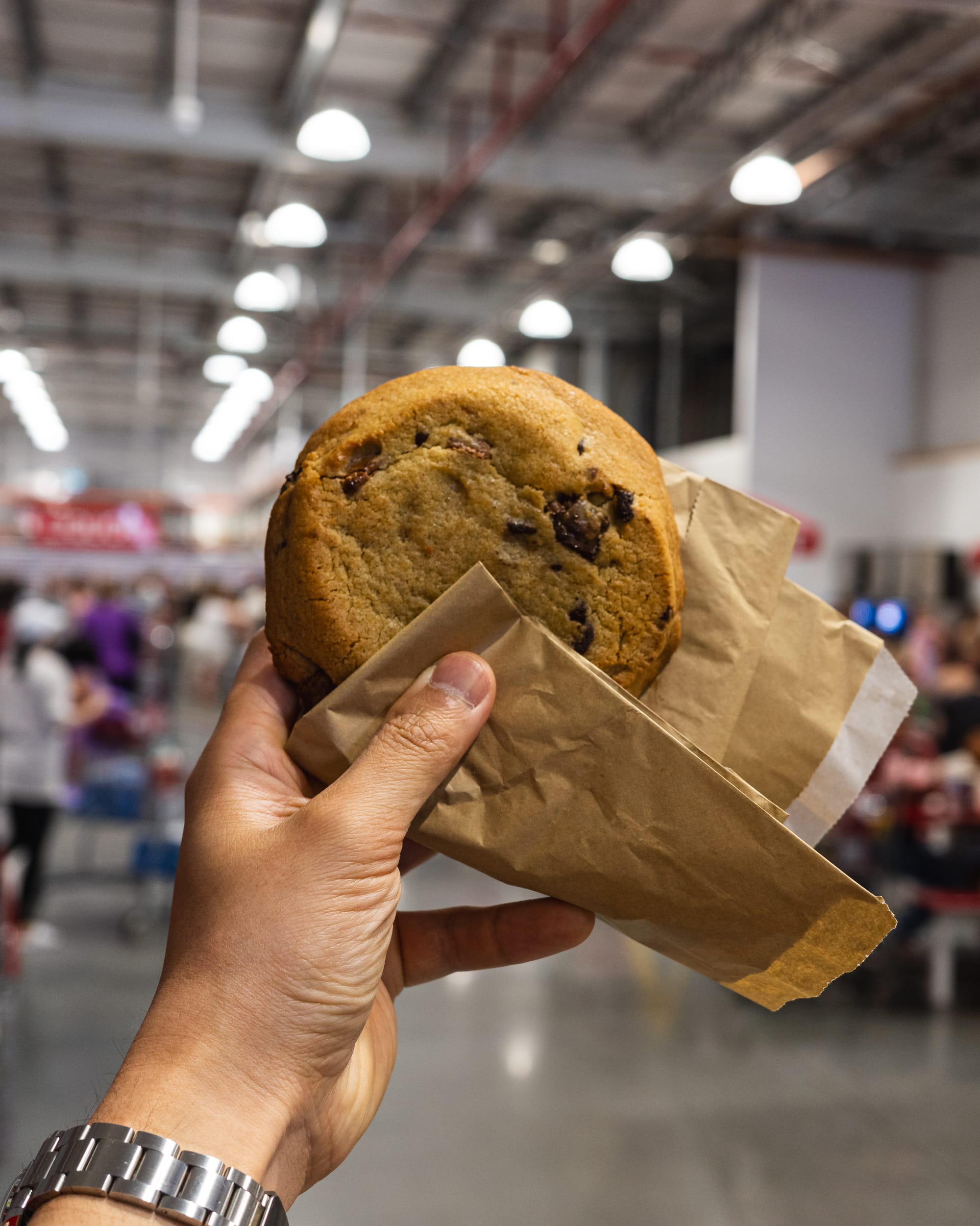 Hand holding choc chip cookie