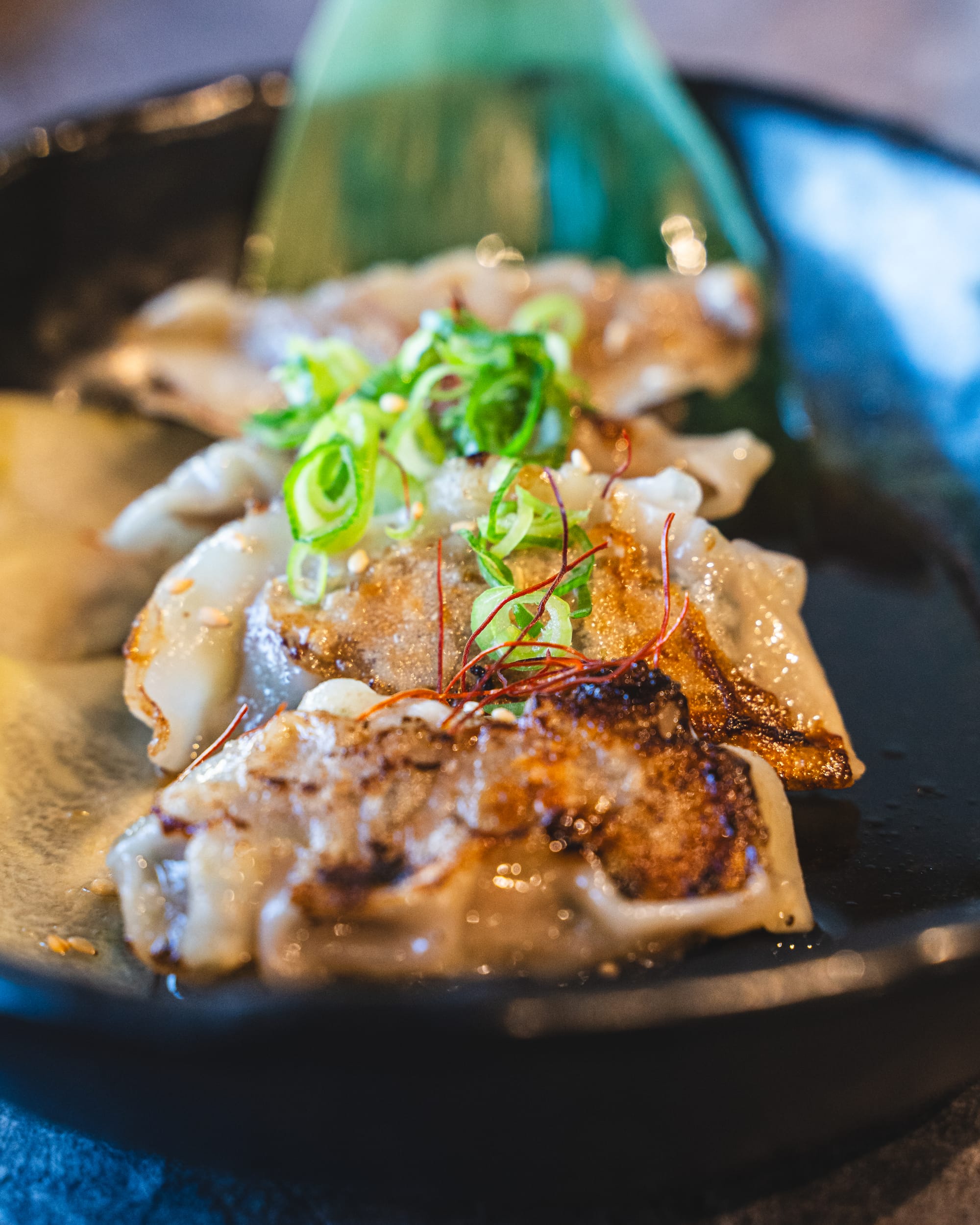 close up of Korean dumplings