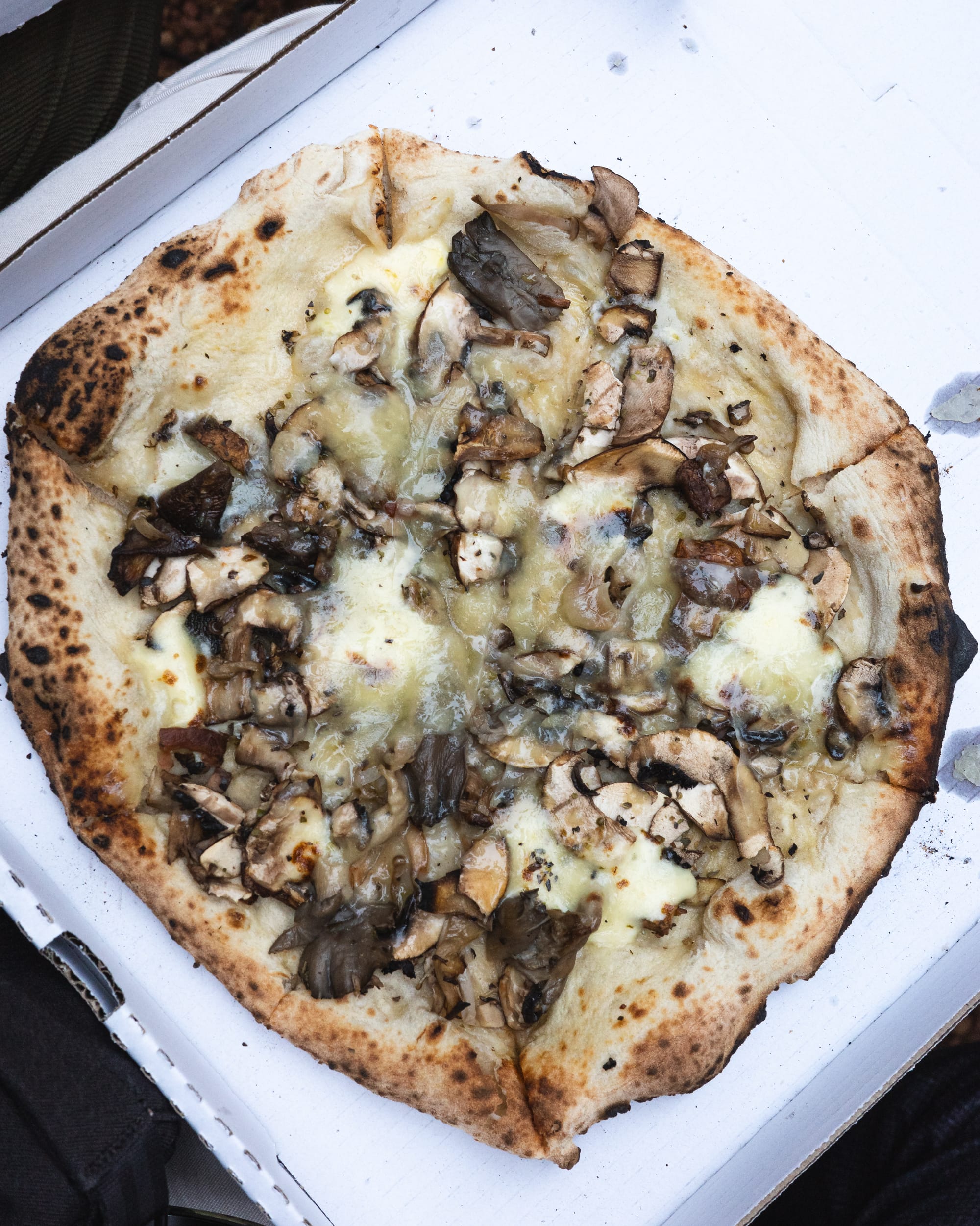 A mushroom and cheese pizza with a charred crust in a white box.