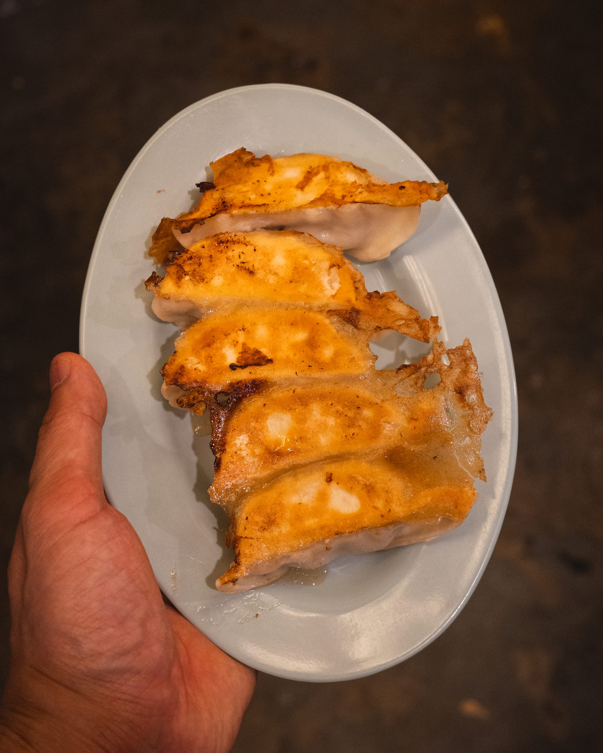 A hand holding a plate of crispy golden-brown gyoza dumplings with sauce drizzled on top.